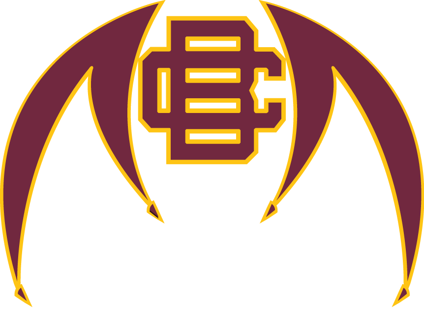 Bethune-Cookman Wildcats 2010-Pres Alternate Logo v2 iron on transfers for clothing